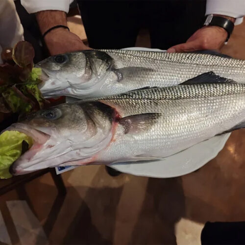Filet de loup servi au restaurant espagnol El Faro à Genève