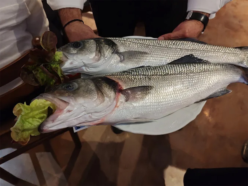 Filet de loup servi au restaurant espagnol El Faro à Genève